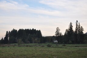 DSC_9020 null