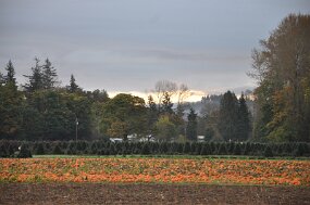 DSC_9066 null