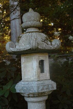 DSC_3449 null