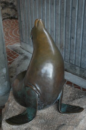 DSC_3224 null