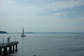 DSC_3229 null
