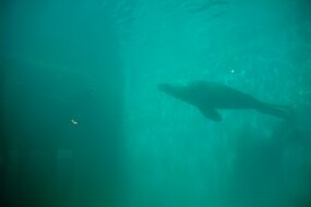 DSC_3234 null