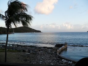 SAM_0310 null