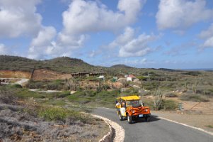 DSC_7949 ABC Tours Jeep Safari: Arikok National Park (20 June 2010)