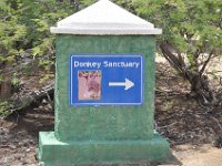 DSC_8192 ABC Tours Jeep Safari: Donkey Sanctuary (20 June 2010)