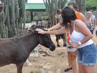 DSC_8214 ABC Tours Jeep Safari: Donkey Sanctuary (20 June 2010)