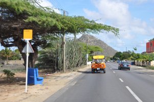 DSC_7945 ABC Tours Jeep Safari (http://www.abc-aruba.com): The Journey (20 June 2010)