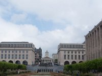 DSC 8677