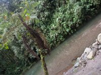 DSC_0265 Hike in Mindo Rainforest (Mindo Rainforest, Ecuador) - 29 December 2015