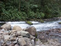 DSC_0267 Hike in Mindo Rainforest (Mindo Rainforest, Ecuador) - 29 December 2015