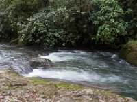 DSC_0271 Hike in Mindo Rainforest (Mindo Rainforest, Ecuador) - 29 December 2015