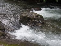 DSC_0274 Hike in Mindo Rainforest (Mindo Rainforest, Ecuador) - 29 December 2015