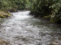 DSC_0275 Hike in Mindo Rainforest (Mindo Rainforest, Ecuador) - 29 December 2015