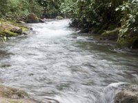 DSC_0277 Hike in Mindo Rainforest (Mindo Rainforest, Ecuador) - 29 December 2015