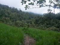 DSC_0314 Hike in Mindo Rainforest (Mindo Rainforest, Ecuador) - 29 December 2015