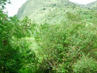 SAM_0200 Hot Thermal Springs in Papallacta (Papallacta, Ecuador) - 1 January 2016