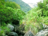 SAM_0203 Hot Thermal Springs in Papallacta (Papallacta, Ecuador) - 1 January 2016