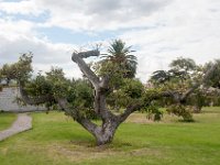 DSC_9898 The grounds -- Mountain Views Inn (Tumbaco, Ecuador) - 26 December 2015 - 2 January 2016