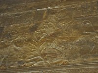 DSC_8121 Temple of Edfu [Horus, Hathor, Harsomtus] (Egypt) -- 2 July 2013