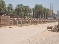 DSC_8517 Luxor Temple (Luxor, Egypt) -- 4 July 2013