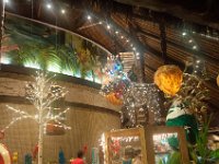 DSC_4495 The holiday season -- A stay at the Vidanta Riviera Maya ( Playa del Carmén, Mexico) - 4 December 2016