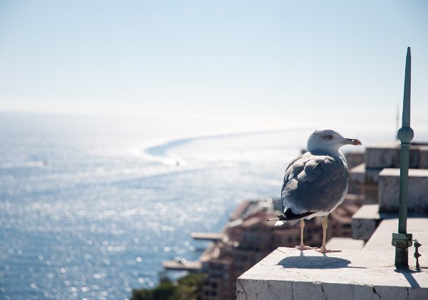 Principality of Monaco (21 Sep 15) Principality of Monaco -- Principauté de Monaco (21 September 2015)