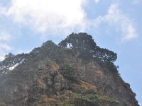 DSC_1325 Lion Rock - Piha Beach (Piha, New Zealand)