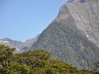 DSC_0804 Cruize Milford Sound (Milford Sound, New Zealand)