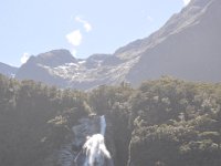 DSC_0811 Cruize Milford Sound (Milford Sound, New Zealand)