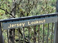DSC_4539 Homage to New Jersey -- A visit to Fitzroy Falls (28 December 2012)