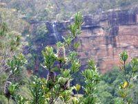 DSC_4546 A visit to Fitzroy Falls - New South Wales, Australia (28 December 2012)