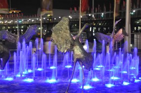 DSC_0364 null