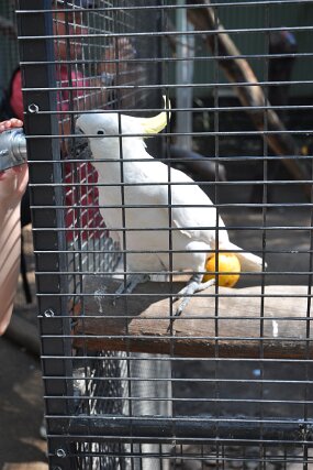 DSC_7902 null