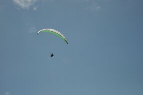 DSC_4585 null