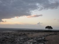 DSC_9851 Sunset at Gatakers Bay (Hervey Bay, Queensland, Australia)