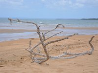 DSC_9788 The Beach (Hervey Bay, Qeensland, Australia)