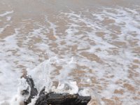 DSC_9836 The Beach (Hervey Bay, Qeensland, Australia)