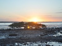 DSC_6897 Sunset in Hervey Bay -- Hervey Bay, Queensland -- 26 Dec 11