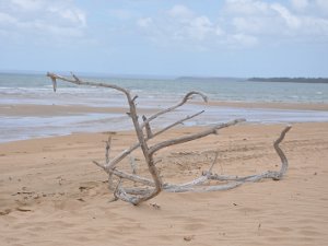 The Beach at Hervey Bay The Beach at Hervey Bay (25 November 2010)