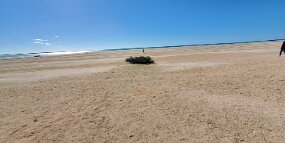 20240724_143206 null