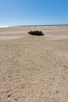 20240724_143218 null