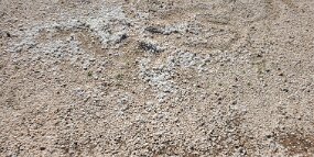 20240724_143349 null