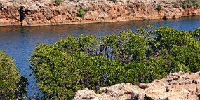 20240727_112453 null