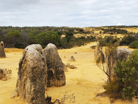 The Pinnacles (21 Jul 24) The Pinnacles in Nambung National Park (21 July 2024)