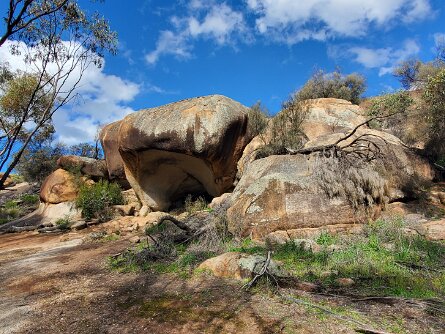 Aboriginal Cultural Centre (31 Jul 24) Aboriginal Cultural Centre (31 July 2024)