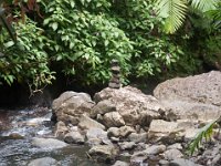 DSC_5554 El Yunque National Forest -- A trip to Puerto Rico -- 18 March 2017