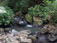 DSC_5564 El Yunque National Forest -- A trip to Puerto Rico -- 18 March 2017