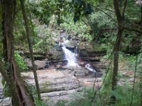 DSC_5568 El Yunque National Forest -- A trip to Puerto Rico -- 18 March 2017