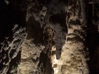 DSC_5581 Parque Nacional de las Cavernas del Río Camuy -- A trip to Puerto Rico -- 19 March 2017