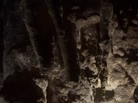 DSC_5582 Parque Nacional de las Cavernas del Río Camuy -- A trip to Puerto Rico -- 19 March 2017